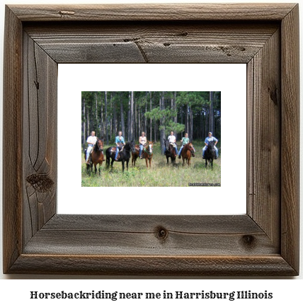 horseback riding near me in Harrisburg, Illinois